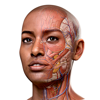 Human Anatomy Atlas 2023 Full  icon
